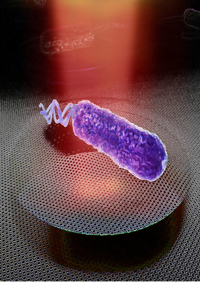 Bacteria_website